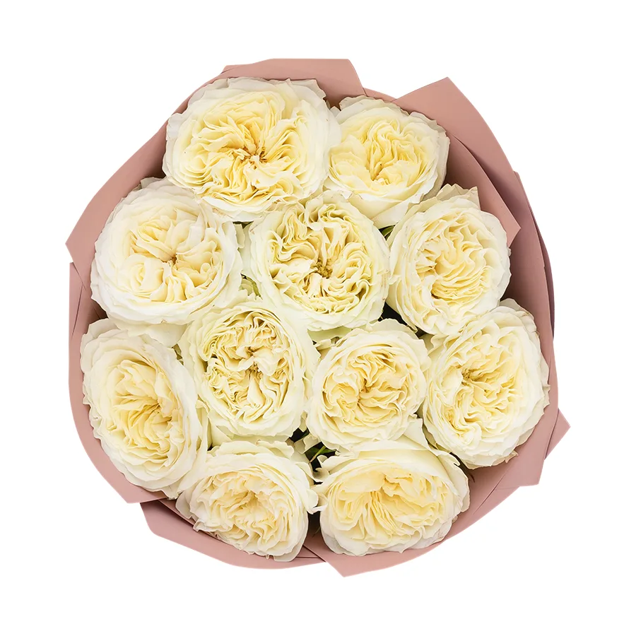 Букет из 11 белых пионовидных роз Майра Вайт (03029)