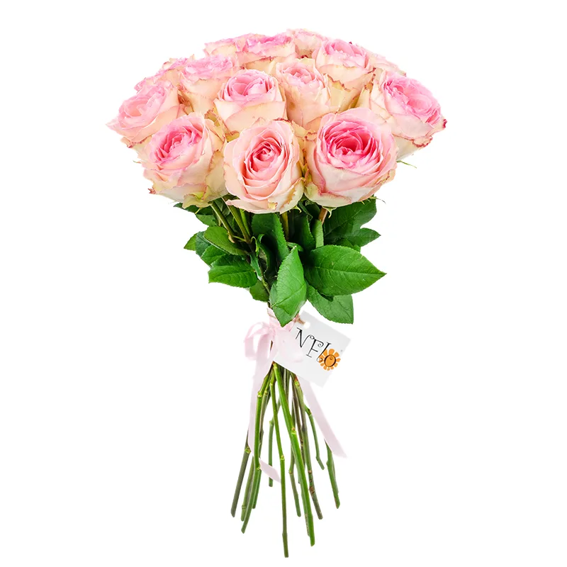 Букет из 17 розовых роз Эсперанс (01238)
