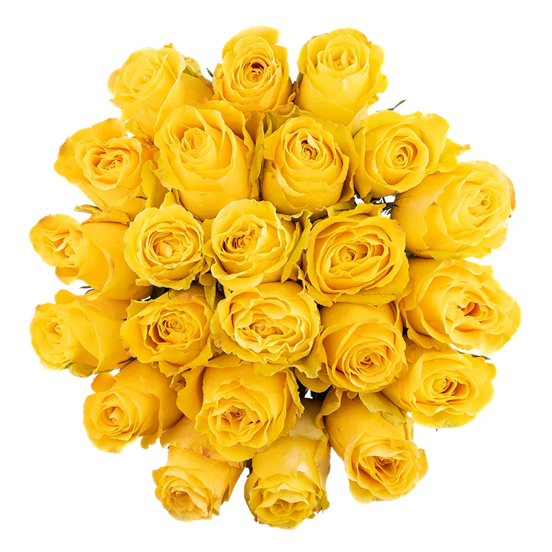 Букет из 23 жёлтых роз Брайтон (01816)