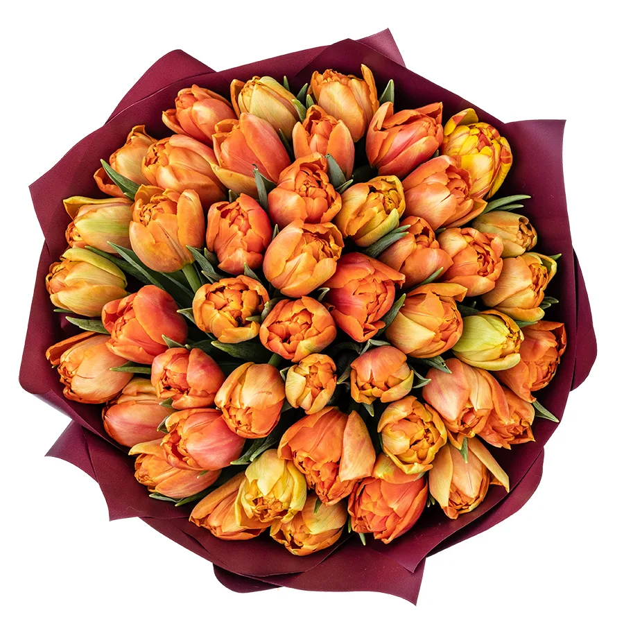 Букет из 45 оранжевых махровых тюльпанов Айкун (02295)