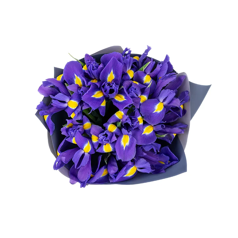 Букет из 15 фиолетово-синих ирисов Блю Мэйджик (01189)