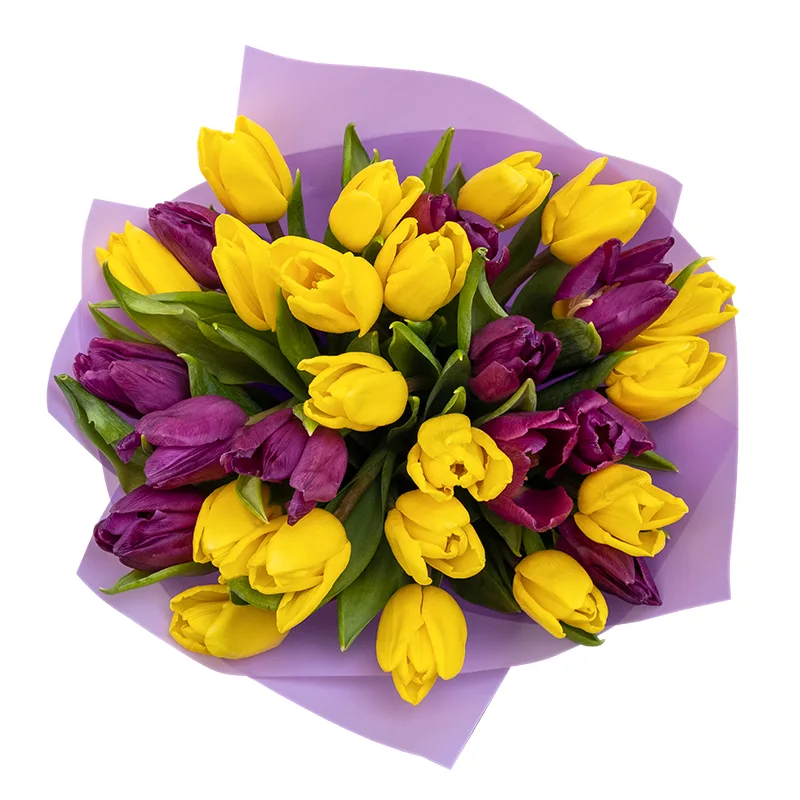 Букет из 29 желтых и фиолетовых тюльпанов (02049)