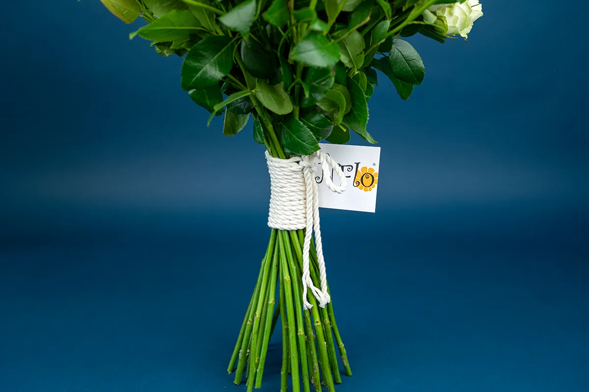Букет из 25 бело-кремовых кустовых пионовидных роз Веддинг Пиано (01630)