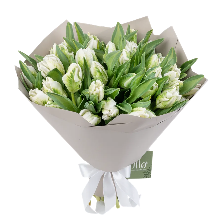 Букет из 41 белого попугайного тюльпана Супер Пэррот (01995)