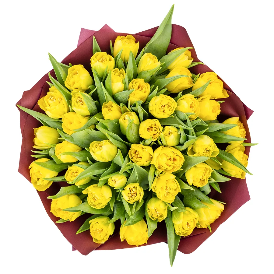Букет из 41 желтого махрового тюльпана Хоумран (02279)