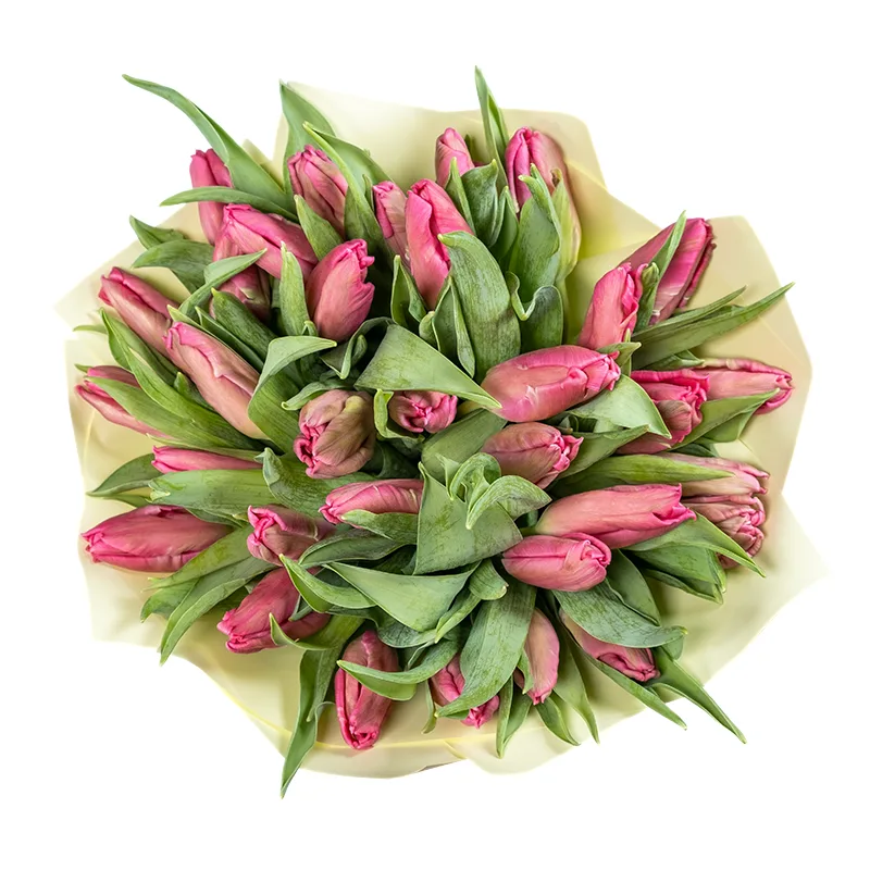 Букет из 33 розовых попугайных тюльпанов Марвел Пэррот (02062)