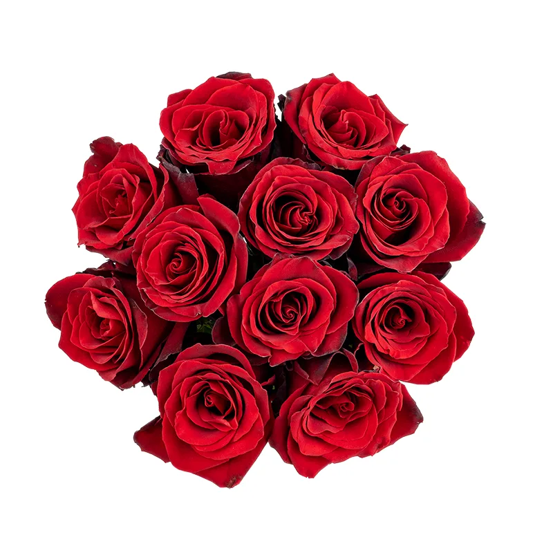 Букет из 11 тёмно-красных роз Эксплорер (01554)