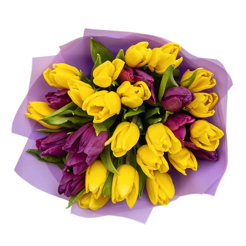 Букет из 27 желтых и фиолетовых тюльпанов (02050)