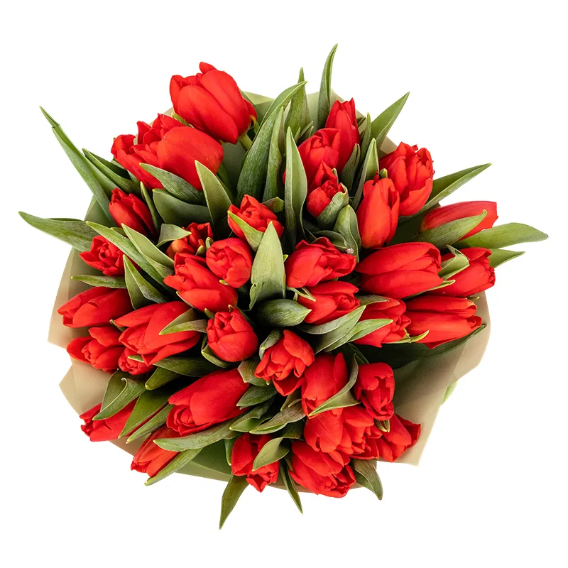 Букет из 37 красных тюльпанов (01886)