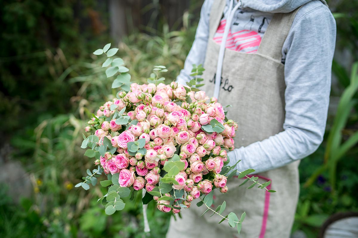 Букет из розовых кустовых пионовидных роз (01057)