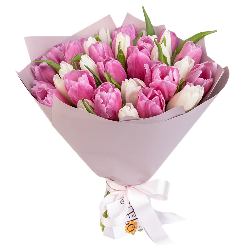 Букет из 35 белых и розовых тюльпанов (02030)