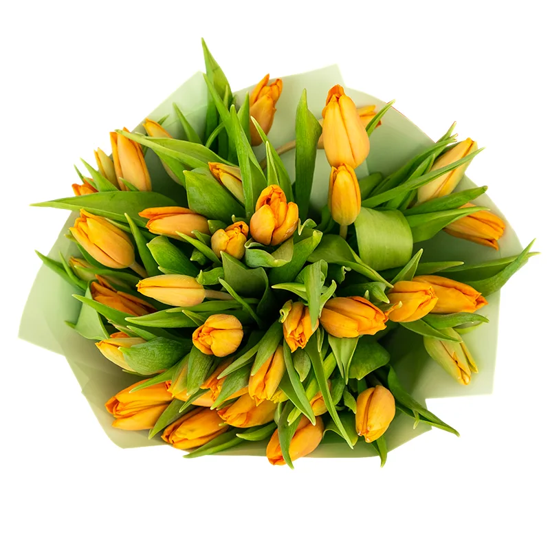 Букет из 37 оранжевых тюльпанов (01966)
