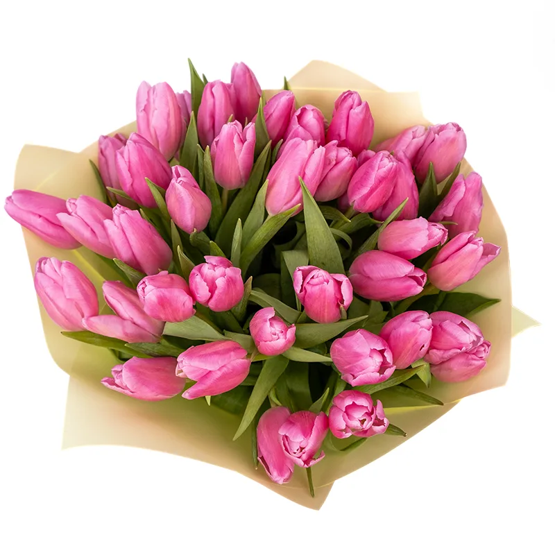 Букет из 41 розового тюльпана (01948)