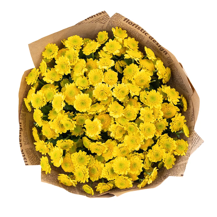 Букет из 17 желтых кустовых хризантем Сантини Сан Ап Санни (02856)