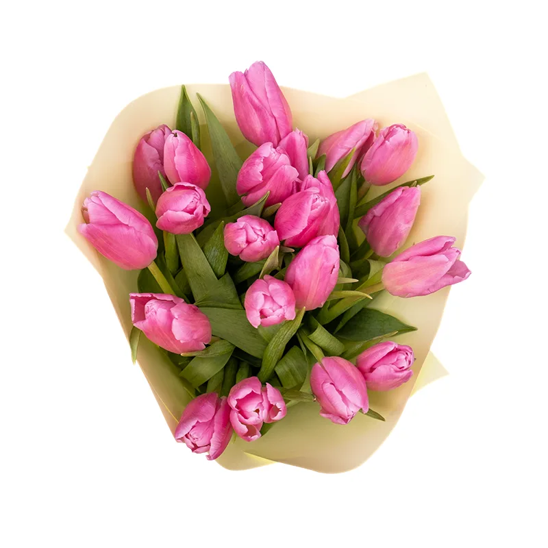 Букет из 21 розового тюльпана (01958)