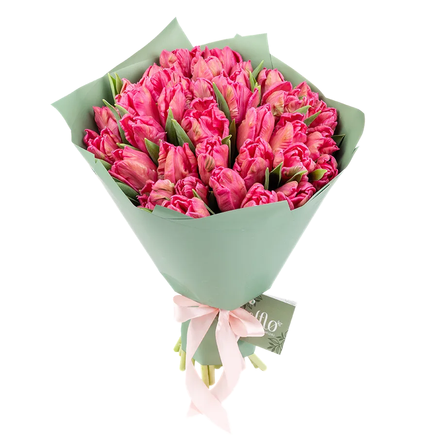 Букет из 35 розовых попугайных тюльпанов Марвел Пэррот (02061)