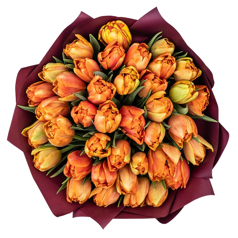 Букет из 39 оранжевых махровых тюльпанов Айкун (02298)