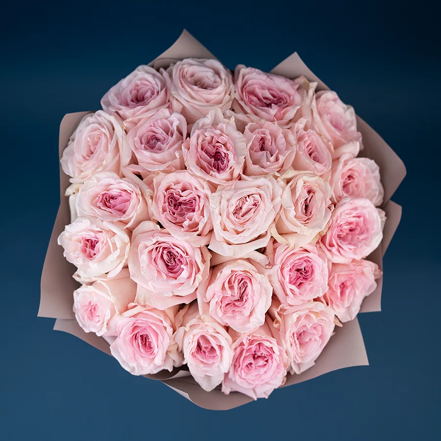 Букет из 25 ароматных розовых садовых роз Пинк О’Хара в упаковке (02790)