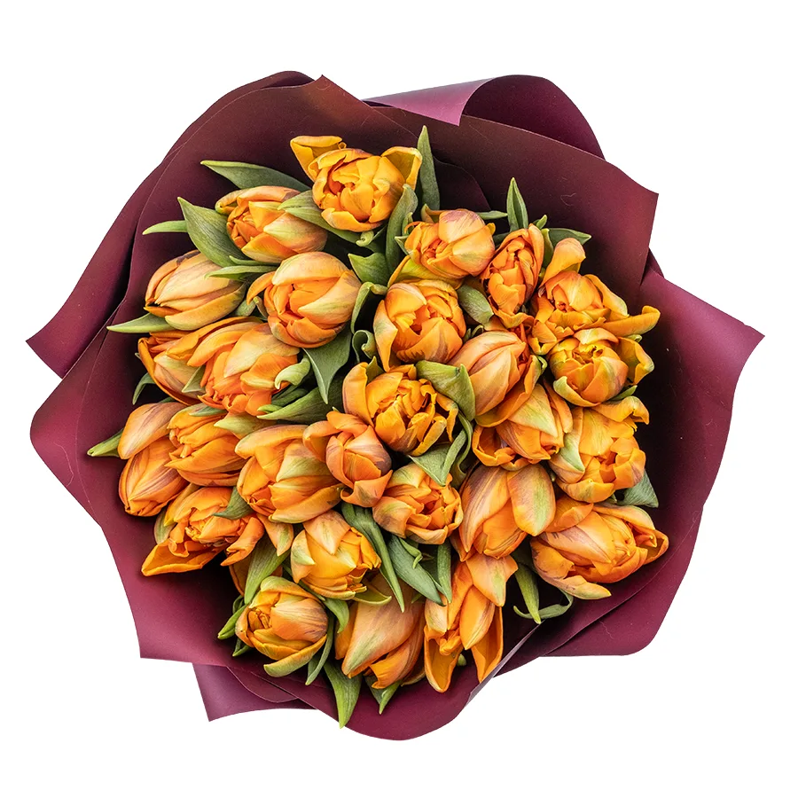 Букет из 27 оранжевых махровых тюльпанов Оранж Принцесс (02246)
