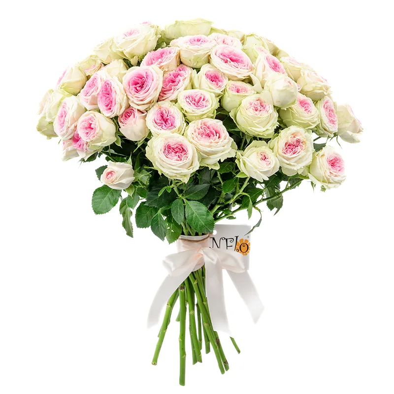 Букет из 15 розовых кустовых пионовидных роз Джелато (01170)