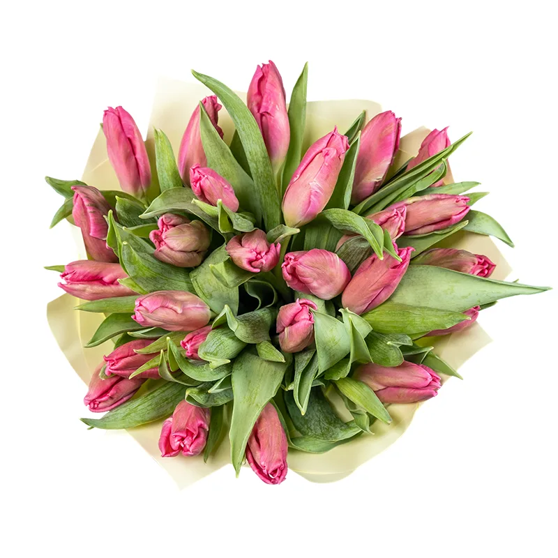 Букет из 25 розовых попугайных тюльпанов Марвел Пэррот (02066)