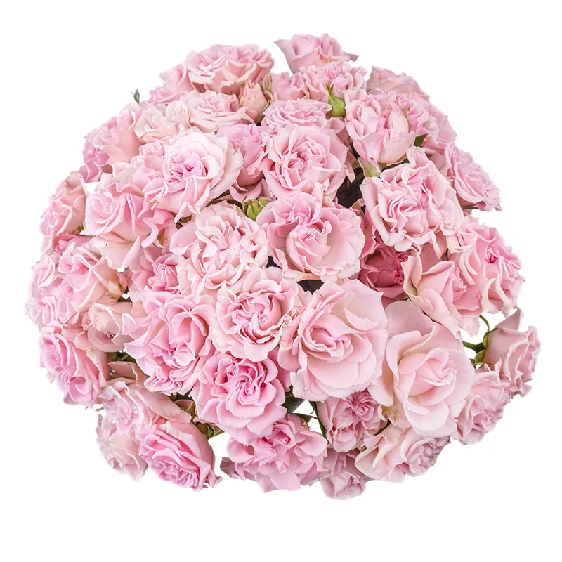 Букет из 21 розовой кустовой розы Свит Флоу (02115)