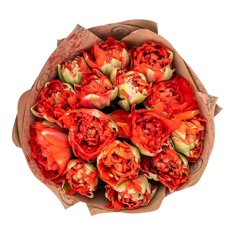 Букет из 15 красных гигантских пионовидных тюльпанов Гудошник (02419)