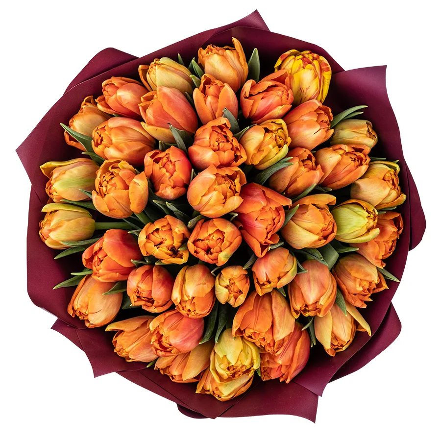 Букет из 43 оранжевых махровых тюльпанов Айкун (02296)