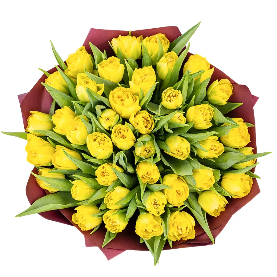 Букет из 43 желтых махровых тюльпанов Хоумран (02278)