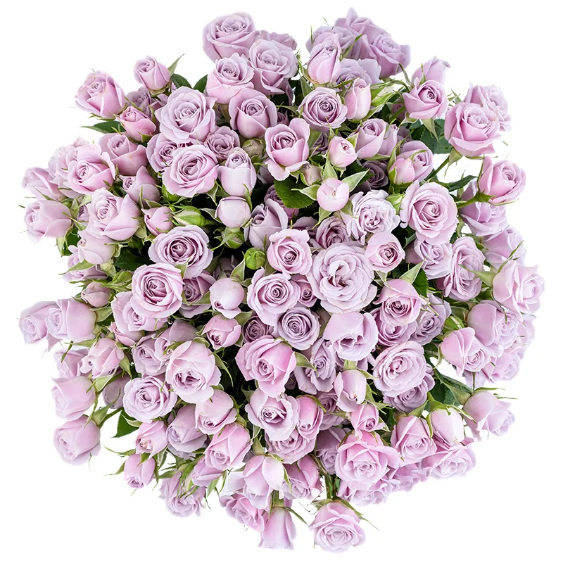 Букет из 29 нежно-сиреневых кустовых роз Сильвер Шадоу (01844)