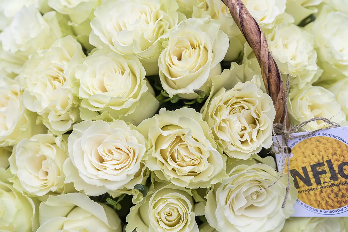 Корзина с 75 белыми розами (00842)