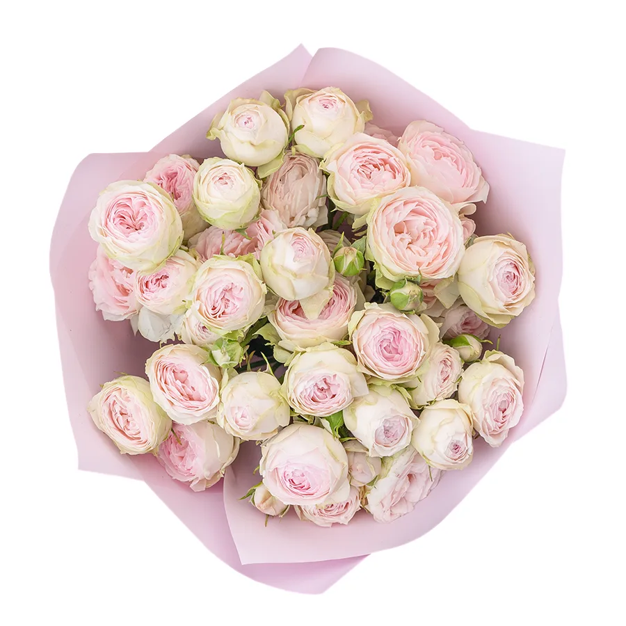 Букет из 7 нежно-розовых кустовых пионовидных роз Дедикейшн (02722)