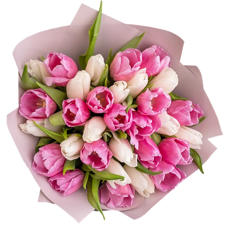 Букет из 31 белого и розового тюльпана (02032)