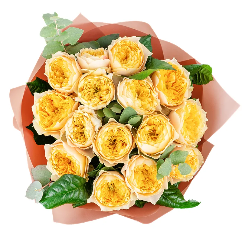 Букет из 15 пионовидных роз Голден Вувузела (01293)