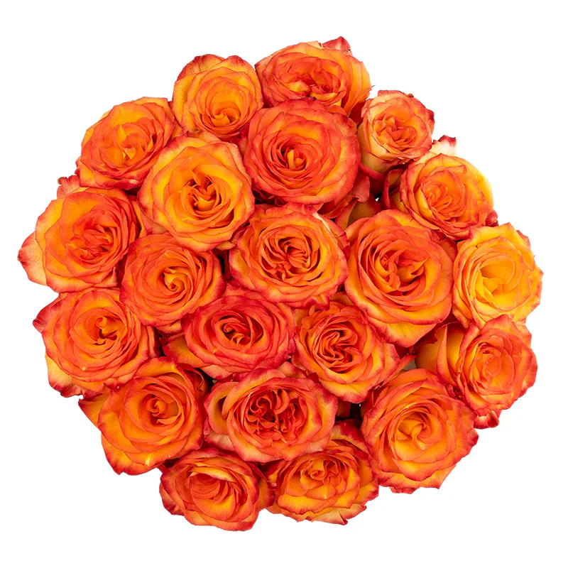 Букет из 21 оранжево-красной розы Хай Мэйджик (01609)