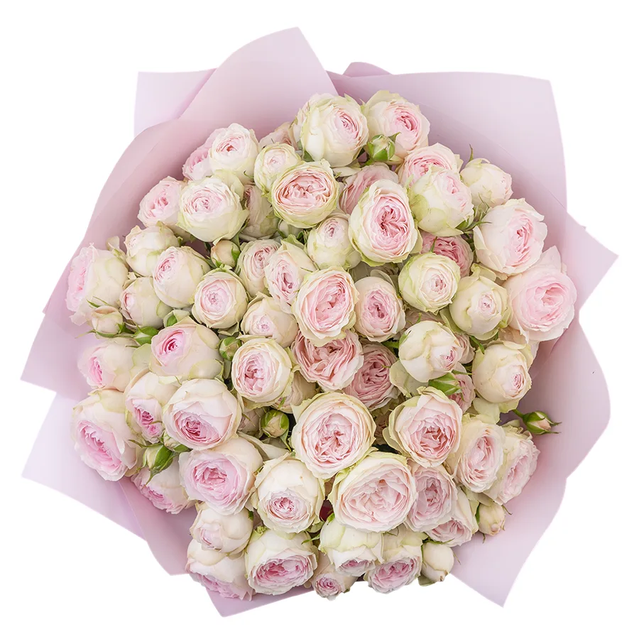 Букет из 15 нежно-розовых кустовых пионовидных роз Дедикейшн (02718)