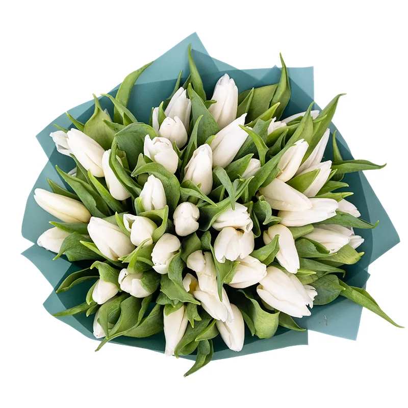 Букет из 41 белого тюльпана (01900)