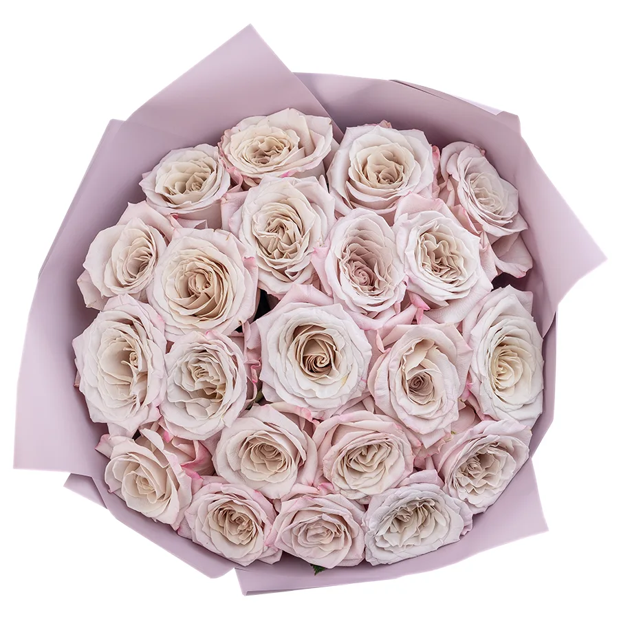 Букет из 21 серебристо-лавандовой садовой розы Мента (02561)