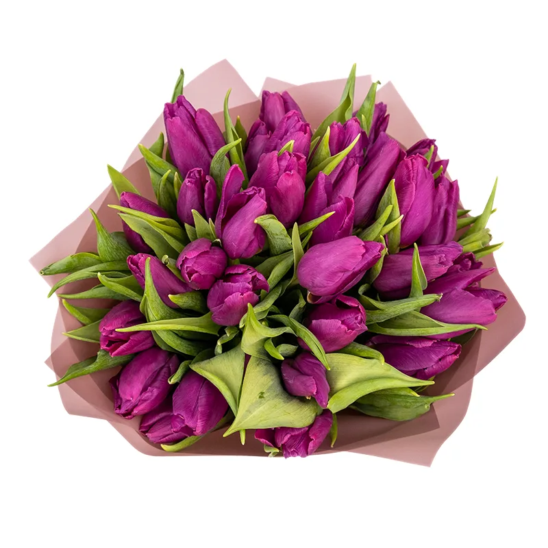 Букет из 31 фиолетового тюльпана (01921)