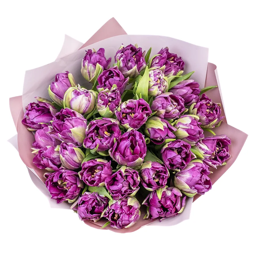 Букет из 31 фиолетового пионовидного тюльпана Пурпл Пеони (02319)
