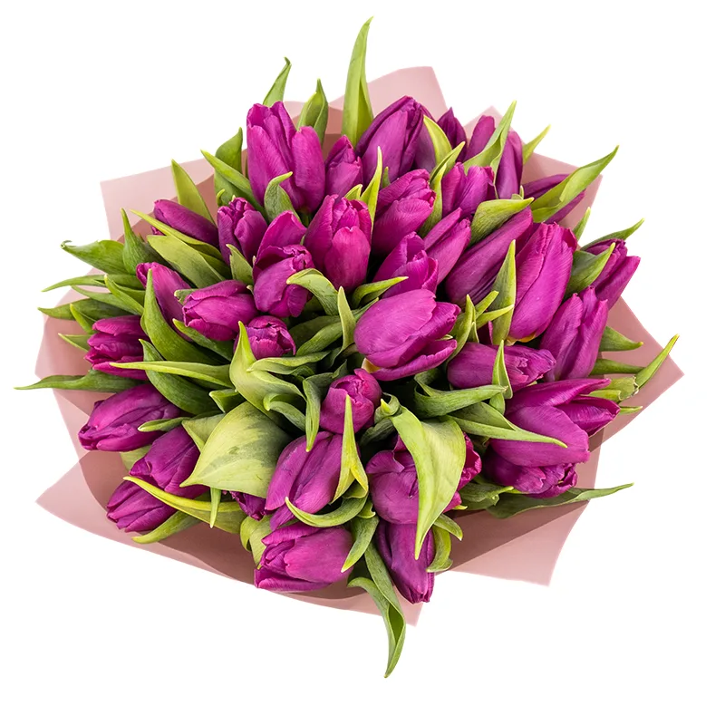 Букет из 37 фиолетовых тюльпанов (01918)