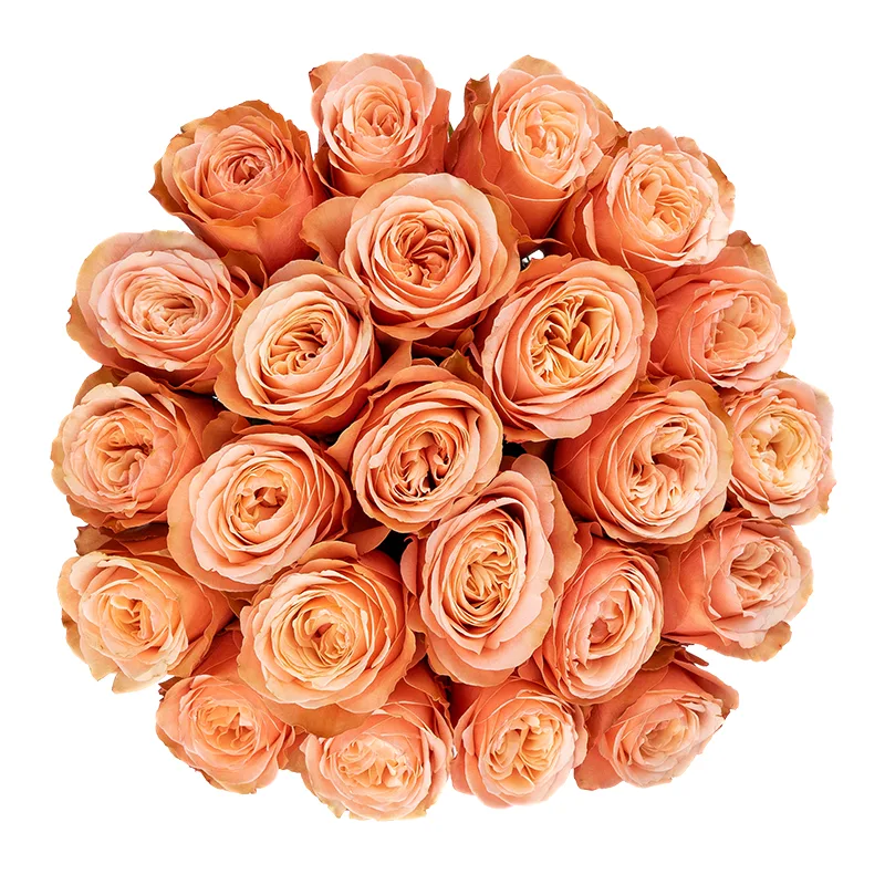 Букет из 23 персиковых пионовидных роз Кахала (01408)