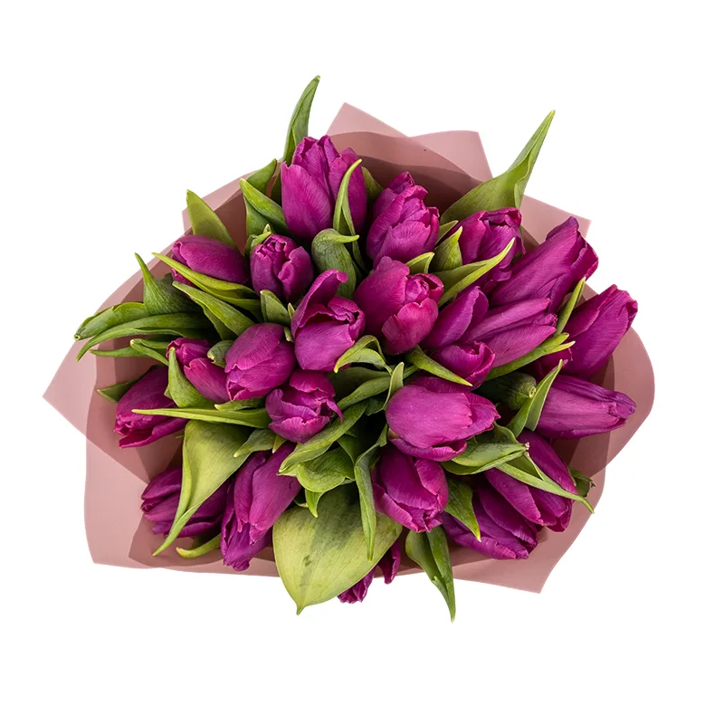 Букет из 23 фиолетовых тюльпанов (01925)