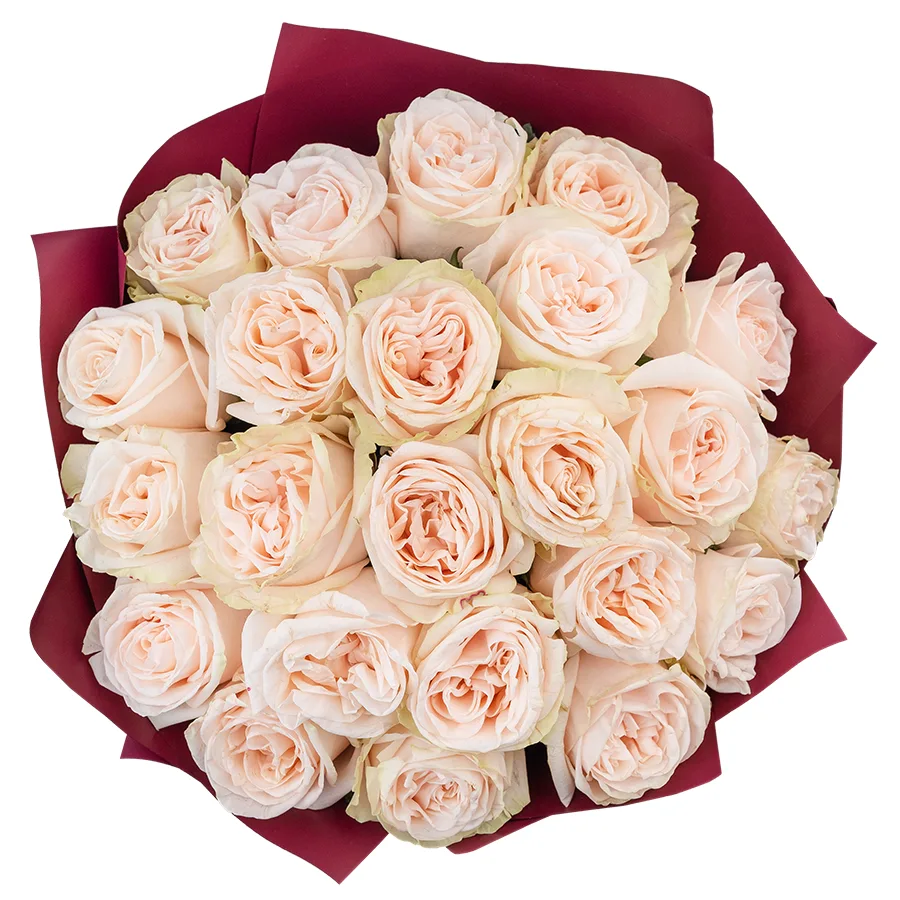 Букет из 23 кремово-розовых пионовидных роз Гарден Спирит (02916)