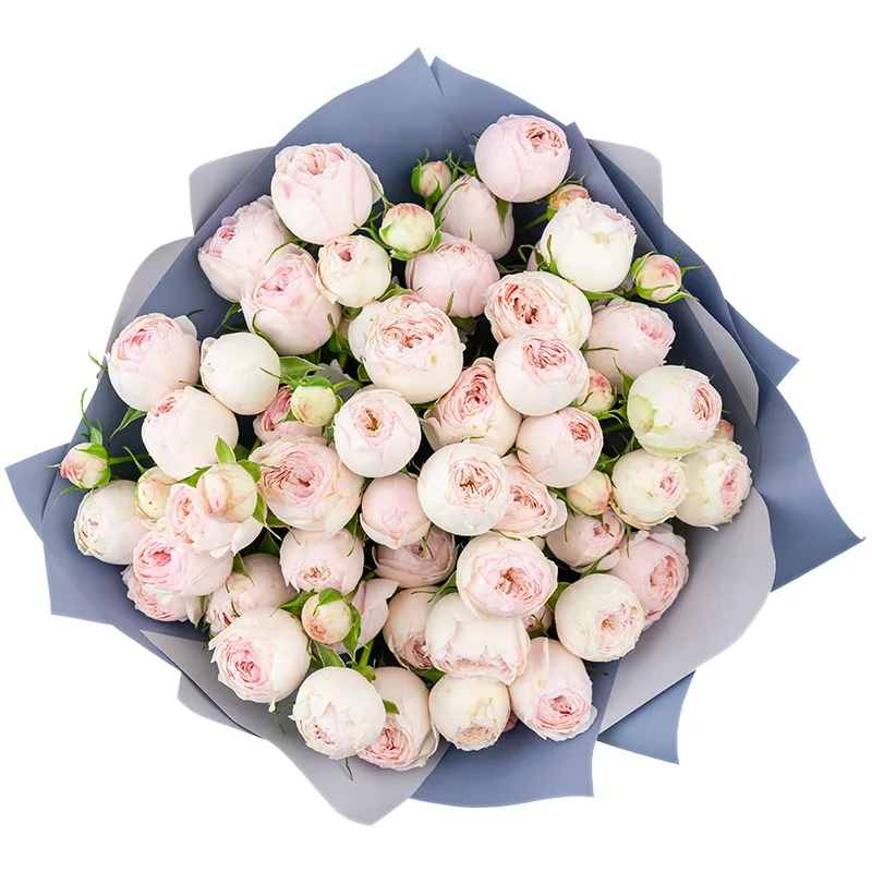 Букет из 11 нежно-розовых кустовых пионовидных роз Мансфилд Парк (01318)