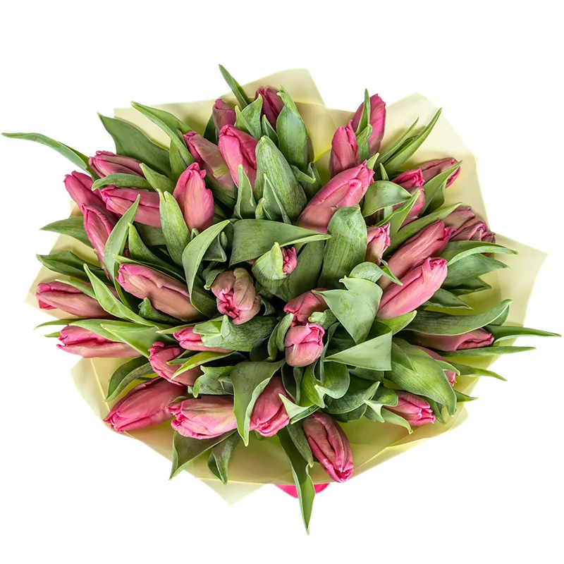 Букет из 35 розовых попугайных тюльпанов Марвел Пэррот (02061)