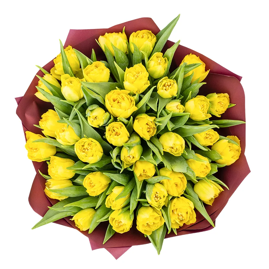 Букет из 39 желтых махровых тюльпанов Хоумран (02280)