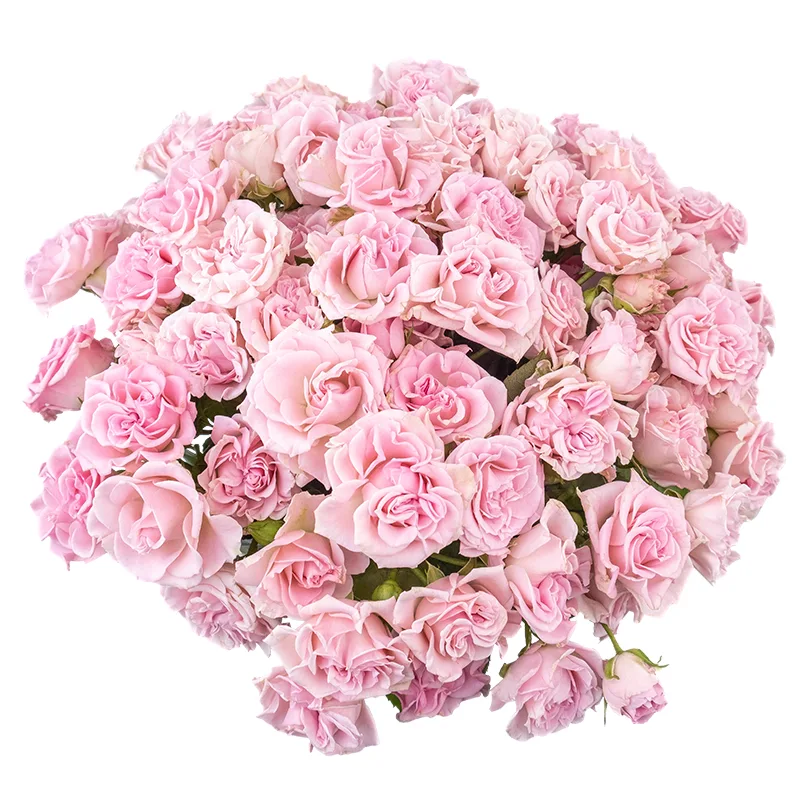 Букет из 29 розовых кустовых роз Свит Флоу (02111)