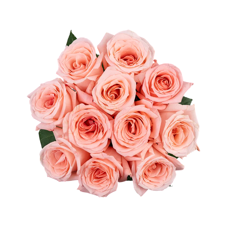 Букет из 11 светло-розовых роз Энгейджмент (03853)