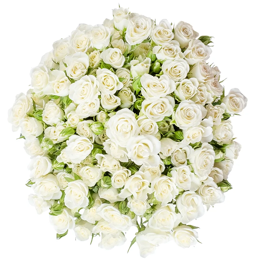 Букет из 27 белых кустовых роз Сноуфлейк (02122)